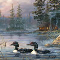 Loon Lake Lodge & Cabin Collection
